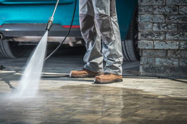Best Gutter Cleaning  in St Joseph, MN