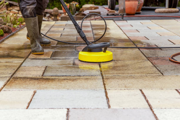 Best Sidewalk and Walkway Cleaning  in St Joseph, MN