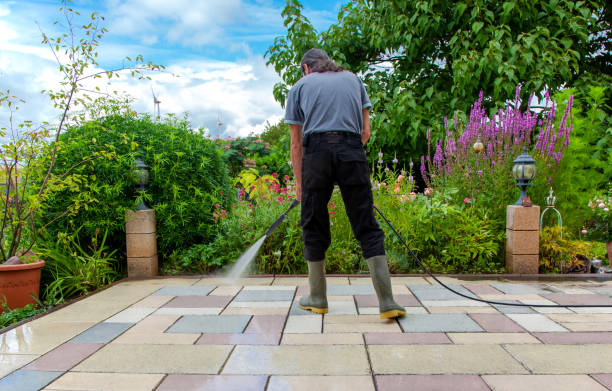 Professional  Pressure Washing Services in St Joseph, MN